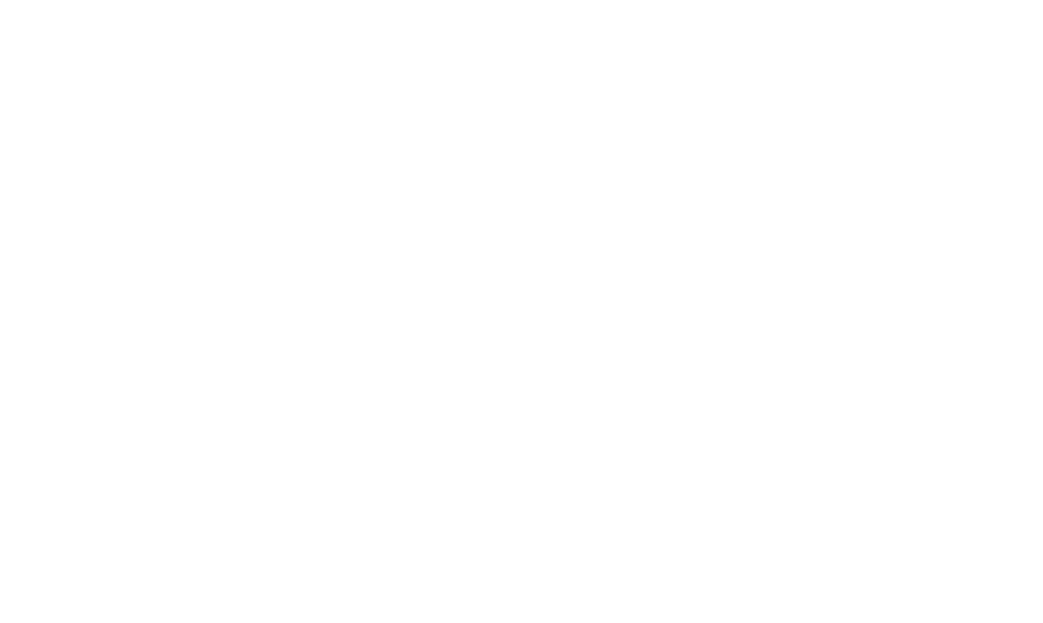 2021cal Type 1