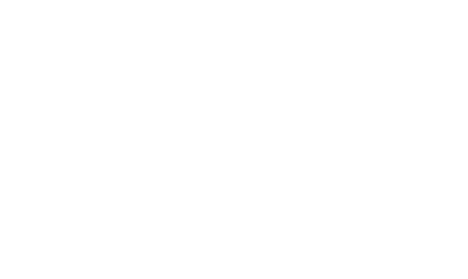 2021cal Type 2