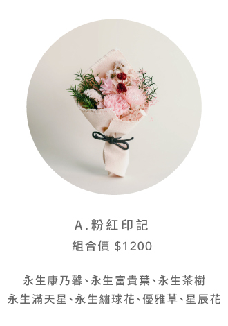 2026thank Set Mini Moth 12 1