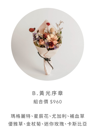 2026thank Set Mini Moth 12 2